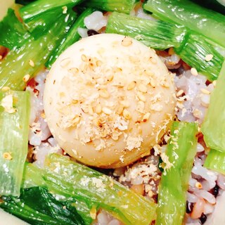 小松菜と39穀米の味卵のヘルシー丼